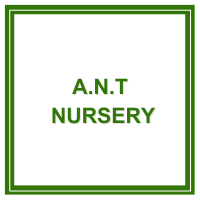 ANT Nursery Logo