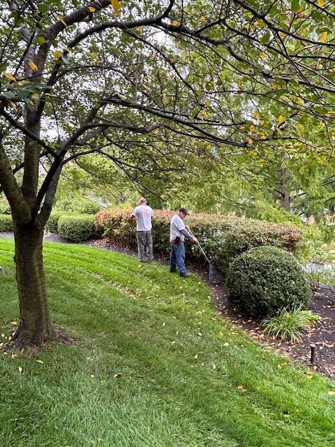 Doerler Landscape NJ Pruning