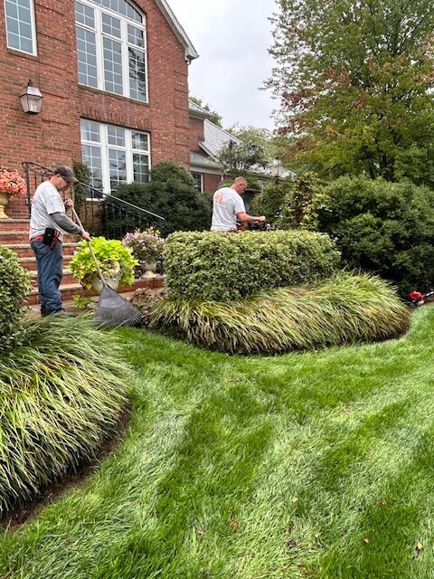 Doerler Landscape NJ Pruning